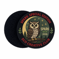 Écussons personnalisés 3D brodés sur mesure pour le club Eco Creative, badges d'identification professionnels à scratch AWELLS