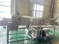 Fruit Parallel Borstelrolreiniger voor PlantSweet Aardappel/Uien/Walnoot/Wortel Borstelwasmachine Schrobmachine Reinigingsmachine