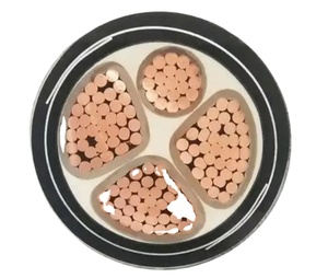 Bán Chạy Nhất ZC-YJV22 Dây Dẫn Bằng Đồng Cross-Liên Kết PVC Bọc Thép 3*300 + 1*150 Ngầm Cáp - Product Image 1