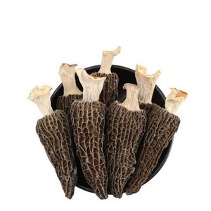 Achetez <span class=keywords><strong>des</strong></span> champignons <span class=keywords><strong>morilles</strong></span> cultivés séchés de qualité supérieure en gros - Product Image 1