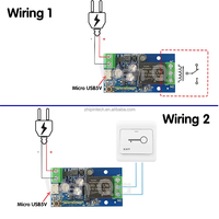 Interruptor Inteligente Wifi EweLink, DC 7V 12V 24V 48V USB 5V, Módulo de Relé de Contacto Seco, Temporizador, Control por Voz, Compatible con Alexa y Google Home