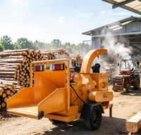 Broyeur de bois professionnel avec limite de branche de 250 mm et fonctionnement fluide pour la gestion des terres