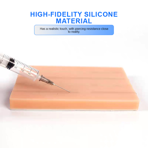 Mannequin d'entraînement aux injections intraveineuses ADA Medical Science (Modèle PVC BIX-HS15-2 2 vaisseaux) - Product Image 5
