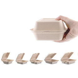 10 inch vuông lấy đi thực phẩm container vỏ sò Hộp Ăn Trưa phân hủy sinh học trắng tự nhiên 1000 ml - Product Image 5