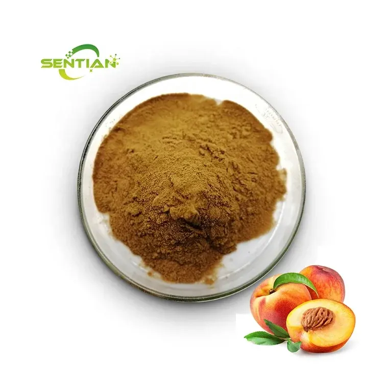 Bubuk ekstrak biji persik kualitas tinggi bubuk ekstrak kernel persik