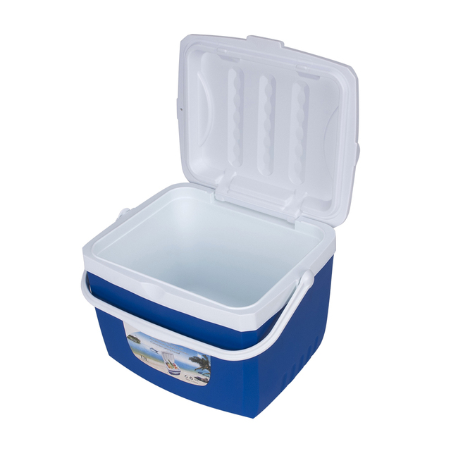Competitive Price and High Quality 13L Cooler Box Outdoor