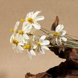 Fleurs d'Althéa séchées en gros, fleurs d'hibiscus séchées naturelles pour la décoration intérieure - Product Image 5