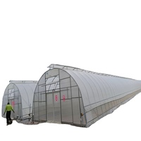 Serre automatique de filet d'ombrage de filet en plastique de tuyau d'acier galvanisé de myrtille d'élevage d'escargots pour des légumes