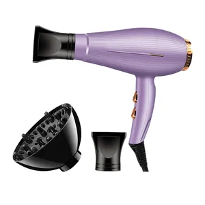 Powerful Electric DC Hair Dryer Low Noise Blow Dryer Fast Drying Hairdryer Professional Salon with Concentrator