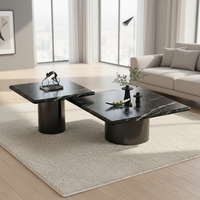Table basse de salon ronde haut de gamme en acier inoxydable et marbre naturel, style minimaliste italien moderne, avec rangement