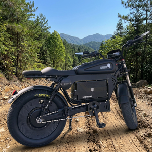 Fabricante: Bicicleta de Montaña Negra de 3000W 60V 50Ah Mejorada con Suspensión de Aire y GPS de Alta Velocidad, Fabricante Original, Personalización Gratuita - Product Image 3