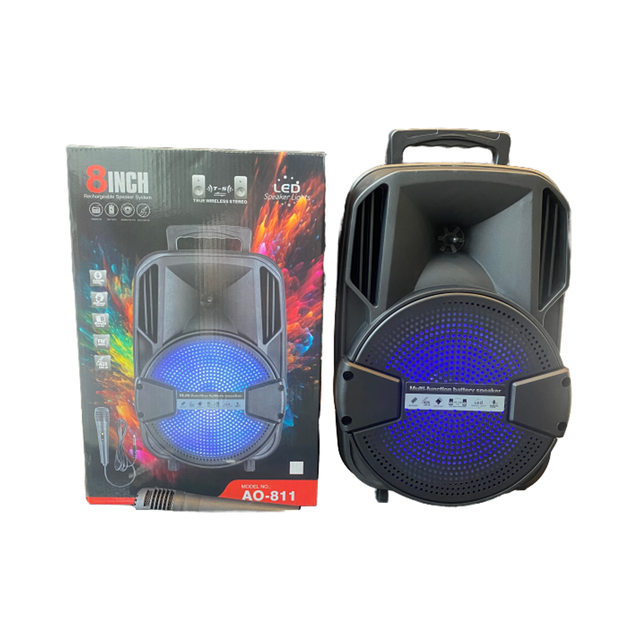 OEM Active Speakers Factory 8 Inch Wireless Powered BT Portable Handle Speaker