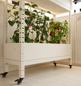 Scaffale per <span class=keywords><strong>Piante</strong></span> da Giardino in Acciaio Inossidabile Ecologico con Montaggio Facile per <span class=keywords><strong>Piante</strong></span> Verdi - Product Image 5