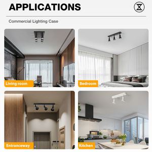 Qualité supérieure Multi Tête Montage en Surface Angle Réglable Personnalisé <span class=keywords><strong>Gu</strong></span> <span class=keywords><strong>10</strong></span> Cob <span class=keywords><strong>Plafonnier</strong></span> Aluminium Spot Led Spot - Product Image 4