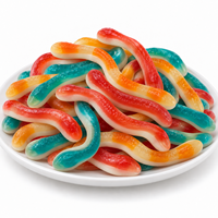 Bonbons Gommeux Personnalisés en Forme de Serpent Halal pour Enfants, Bonbons Végétaliens en Gros, Fournisseur Chinois de Bonbons Gommeux