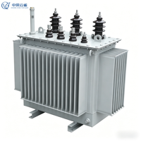 Transformateur immergé dans l'huile 11kV/400V en cuivre série S-M pour les nouvelles communautés et le développement immatériel