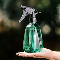 Bouteille pulvérisatrice de 500 ml, pulvérisateur pour plantes, fleurs et herbes, arrosoir de jardin, pot d'arrosage pour jardin, fournitures de nettoyage intérieur