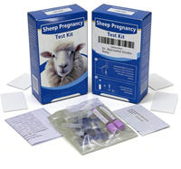 Kit de dépistage de la gestation des ruminants sur site, détection du PAG pour une gestion efficace de l'élevage de bovins et de moutons, 2 tests/kit