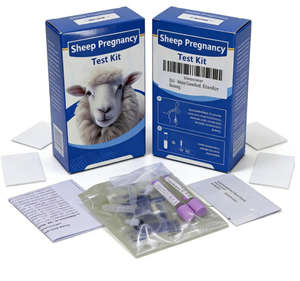 Kit de Detección de Gestación en Rumiantes, Detección de PAG para una Gestión Eficiente de la Cría de Ganado Vacuno y Ovino, 2 Pruebas/Kit - Product Image 4