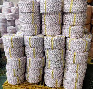 China Cheapest 32MM PP Twist <strong>Rope</strong> 10MM PP <strong>Rope</strong> Black <strong>Rope</strong> 4MM 6MM 8MM 12MM 16MM 18 MM 20MM 24MM 30MM China National Standard - Product Image 5