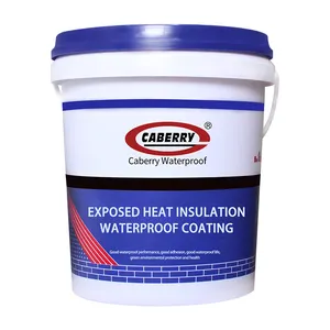 Wholesale CABERRY Factory Metal Roof Waterproofing Thermal Insulation Paints