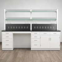 Muebles de Laboratorio, Gabinetes de Laboratorio Personalizados con Encimeras de Resina Epoxi