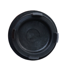 <b>Cylinder</b> <b>head</b> blind hole plug 12513-P72-003 - Product Image 2