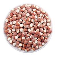 Nouvel arrivage en gros de fruits séchés Zhaoqing Gorgon, graines d'Euryale en vrac, forme de boule brisée semi-ouverte, 500g, stockage à froid et à sec