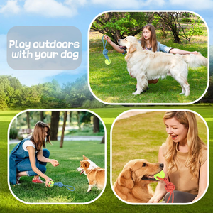 Petway 08434 Durable Interactive Clean Teeth Training Chew Toy with Cotton <b>Rope</b> & Rubber for Dogs-Indoor/Outdoor Use - Product Image 4