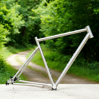 Cadre de vélo en titane 700C avec transmission par courroie, séparateur Rohloff, patins coulissants pour la conduite sur gravier