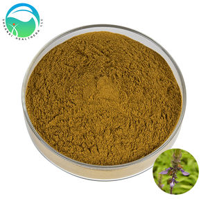 Organik Kurutulmuş Körükotu Yaprağı Tozu Ekstresi 10:1 Helal/Koşer Sertifikalı Gıda Sınıfı Bitkisel Takviye Suda Çözünür Vakumlu Paketlenmiş - Product Image 2