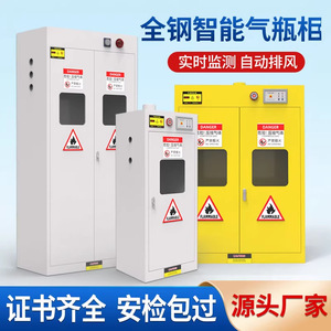 Gabinete de Almacenamiento a Prueba de Explosiones para Cilindros de Gas con Empaque Neutro, para Laboratorio, Oxígeno, Acetileno, Caja de Acero para Dos Cilindros OMD 009 - Product Image 3