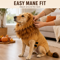 Costume de chien amusant idéal pour les défilés d'animaux de compagnie avec gilet à crinière en fausse fourrure et queue en boule, facile à enfiler pour les chiots
