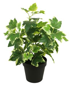 Plantes artificielles en plastique, 36cm, vente en gros, avec Pot pour décor de maison, gazon, <span class=keywords><strong>lierre</strong></span>, bonsaï, nouveauté - Product Image 5