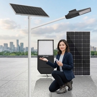 Lampu Jalan Tenaga Surya Terpisah Dua Bagian IP66 Luar Ruangan 100W LED Kecerahan Tinggi Chip Bridgelux 5050 Paduan Aluminium 6000K 3 Tahun