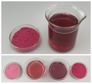 기능성 식품 및 음료용 OEM/ODM 천연 백뽕나무 열매 분말 - Product Image 2