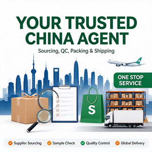 Proveedor Chino de Servicios de Logística, Almacenamiento y Control de Calidad para Shopify, DDP, Marca Privada y Personalización para Dropshipping en EE. UU., UE, Reino Unido y Australia - Product Image 1