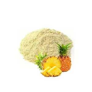 Faitury Bulk Price Freeze-dried Pineapple Powder Pineapple Juice Powder