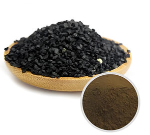 Лидер продаж, органический экстракт семян лука-Лука, экстракт семян китайского чеснока, 10:1 30:1, 50:1, порошок из семян лука-порея по лучшей цене - Product Image 4