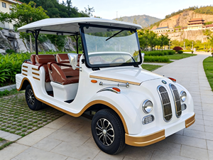Custom Vintage Classic Car 5-11 Seats Long <b>Range</b> Strong Power Lithium Battery High Load Quiet Running Hot Sale - Product Image 1