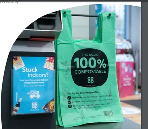 Ustom-bolsa de compras de plástico biodegradable orgánico Pla, bioembalaje