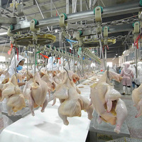 Qingdao Raniche Brower équipement de volaille mini abattoir mobile usine de transformation de poulet habillé