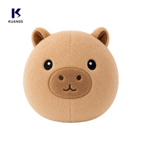 Ballon de plage gonflable en peluche populaire et très vendu, jouet en peluche doux à visage de dessin animé pour enfants et adultes, idéal pour les activités de plein air