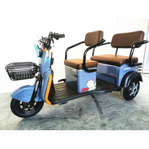 <span class=keywords><strong>Triciclo</strong></span> Eléctrico de Pasajeros de Alta Calidad, 1000 Vatios, Triciclos Eléctricos de Tres Ruedas para Adultos - Product Image 3