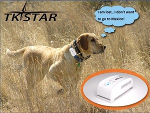 Traceur GPS portable et étanche pour animaux de compagnie, collier GPS pour chien, chasse - Product Image 6