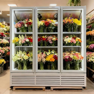 Refrigerador Vertical de Una Puerta para Exhibición de Flores, Equipo Comercial de Refrigeración para Conservación de Flores Frescas - Product Image 6
