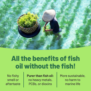 Cápsulas de aceite de algas y vitamina E de ALTA CALIDAD que favorecen la salud del corazón, promueven la función cognitiva y blanquean la piel. - Product Image 3