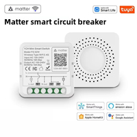 Sakelar Dinding PC Tahan Api IP20 dengan Fungsi Timer, Kontrol Suara, WiFi 2.4GHz, dan Proteksi Beban Berlebih untuk Rumah Pintar