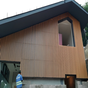 Façade à lames en aluminium imitation bois pour mur-rideau, revêtement extérieur, panneau mural pour bâtiment moderne - Product Image 1