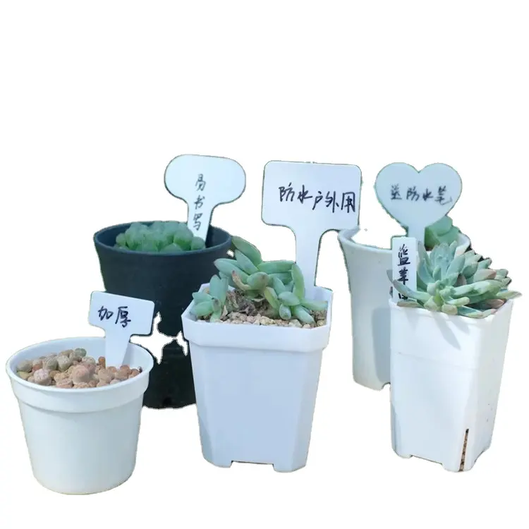 Exportar para o Japão em 20 anos Garden ID name T-Type Plant Labels 17cm Plastic Stick tee tags